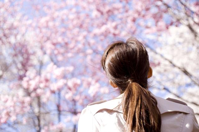 画像: ソロ花見もなかなか味があるもの!軽量なアウトドアチェアを持参して花見を思う存分楽しもう