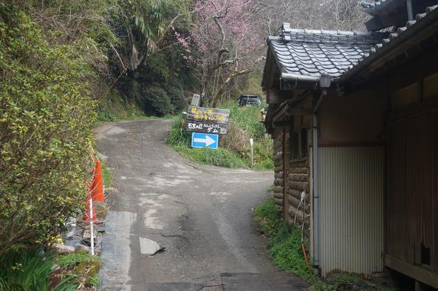 画像: 筆者撮影「キャンプ場入り口からの車道」