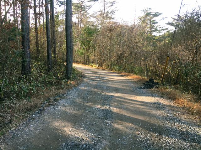 画像13: 筆者撮影
