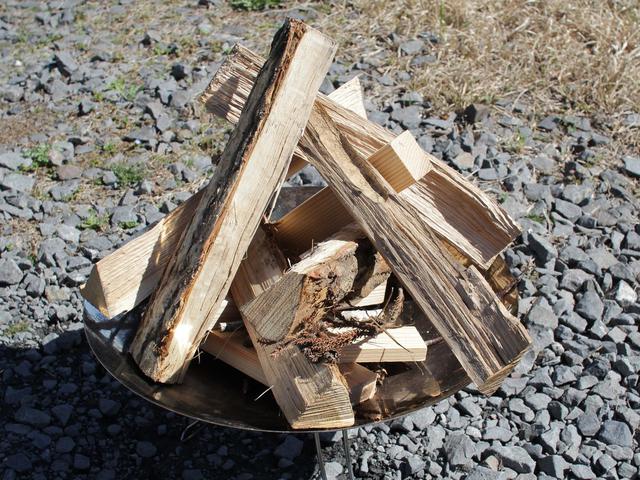 画像: 筆者提供:少ない本数でバランス良く組むのがコツ