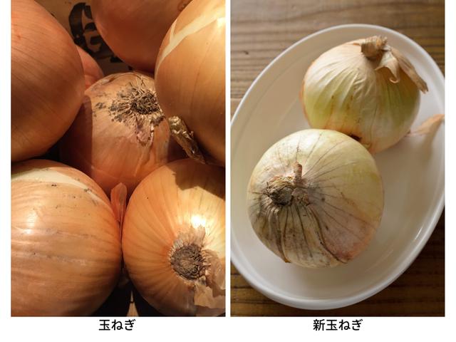 画像: 編集部作成