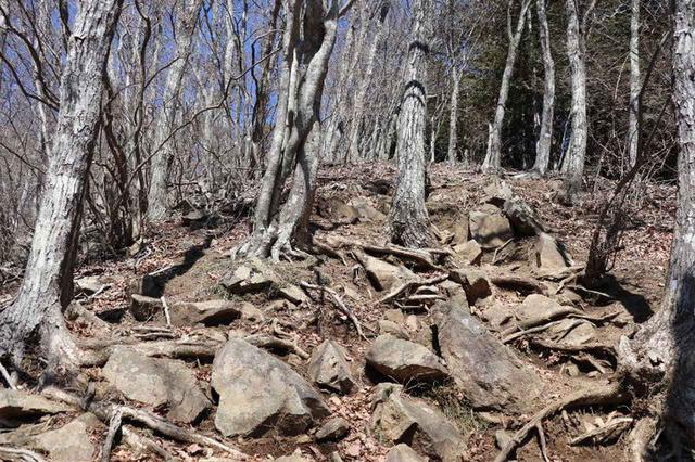 画像: 筆者撮影・山頂下の急な登り
