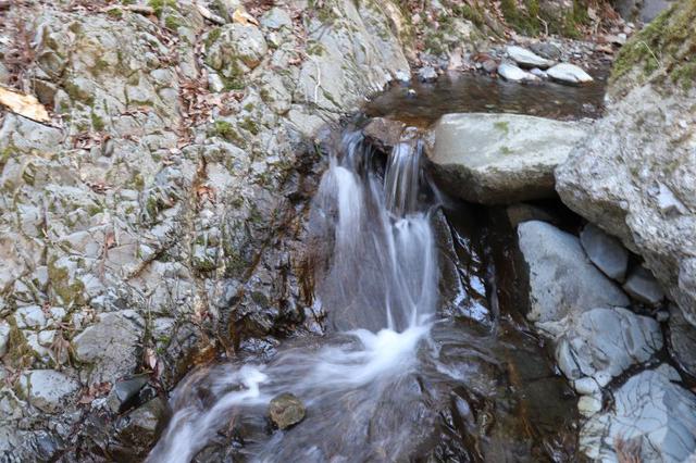 画像: 筆者撮影・倉岳山登山道、沢を渡る