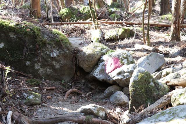 画像: 筆者撮影・道中の赤い印は登山者の道迷いを防ぐためのもの