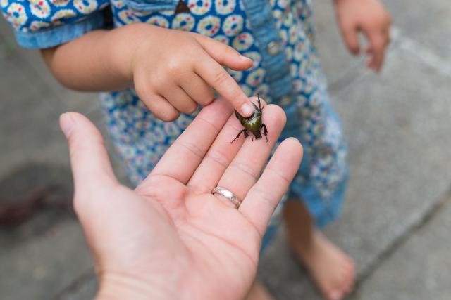 画像: <理由②>子供は「火」を通して暖かさと怖さを知る!自然への興味から始まり選択する能力を身に付ける