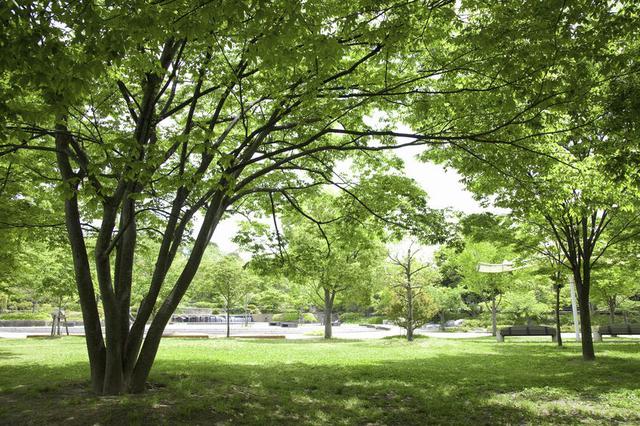 画像: 1. 遊具がない公園を楽しんでみよう! 空いている、発想力が養われるなど隠れたメリットがたくさん