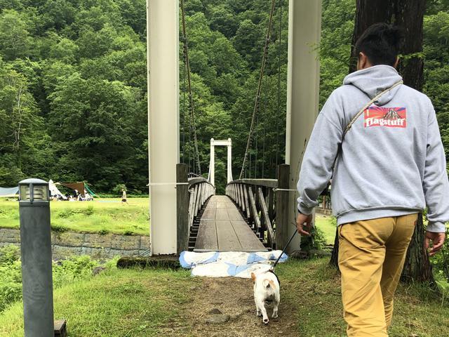 画像2: 読者撮影