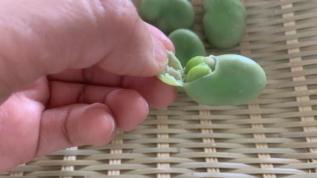 画像6: 筆者撮影