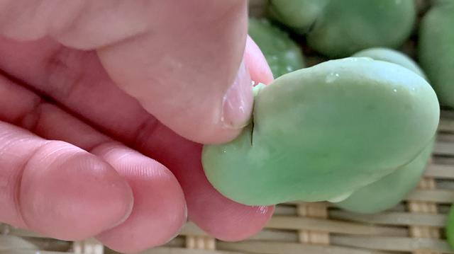 画像5: 筆者撮影
