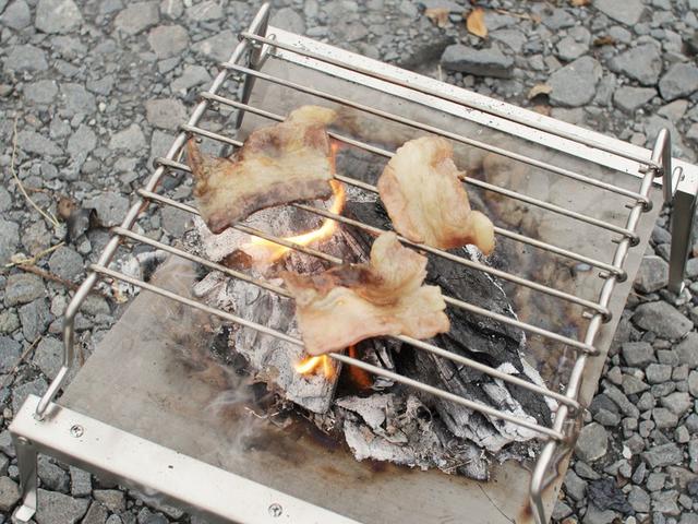 画像: 筆者提供:「秘密のグリルちゃん」というネーミングも◎