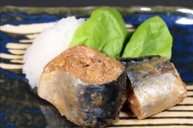 画像: サバ缶はタンパク質など栄養豊富で調理も簡単! 健康・美容効果もあるので家に常備するのがおすすめ