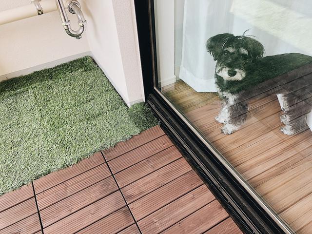 画像6: 筆者撮影