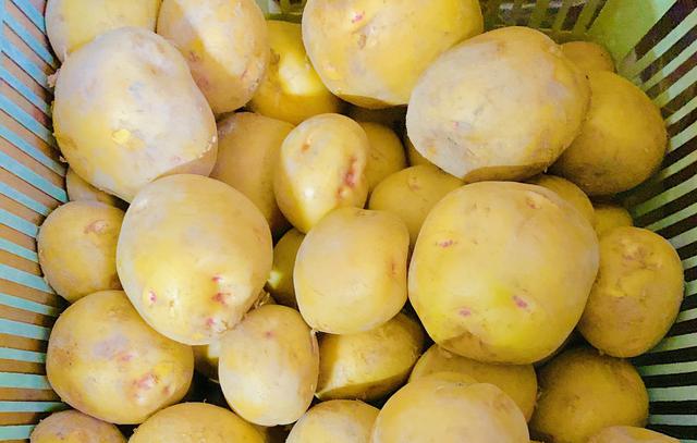 画像: 小さくてまんまるな春の人気者「新じゃが」! 皮まで柔らかくホクホク食感が魅力!