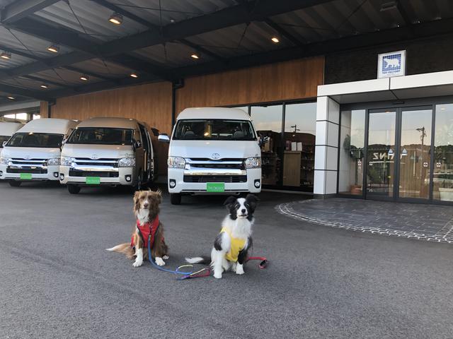 画像4: 筆者撮影