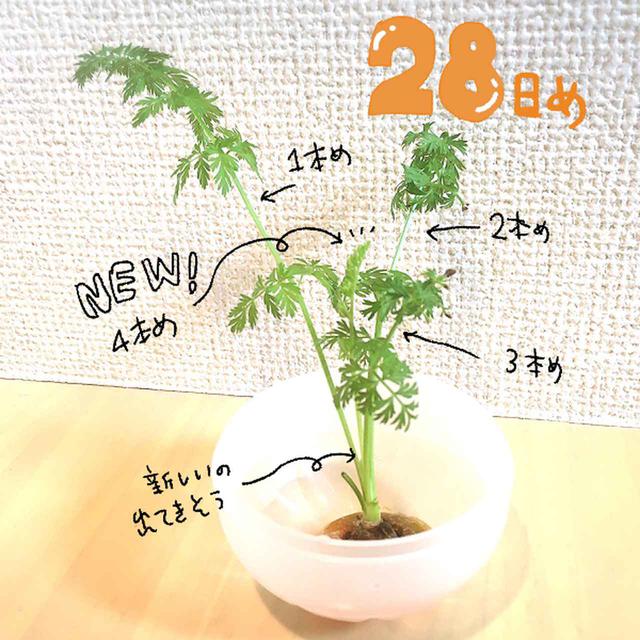 画像2: 筆者撮影