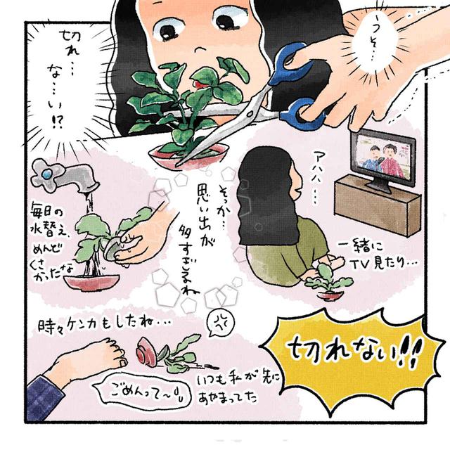 画像6: 作:たなみお