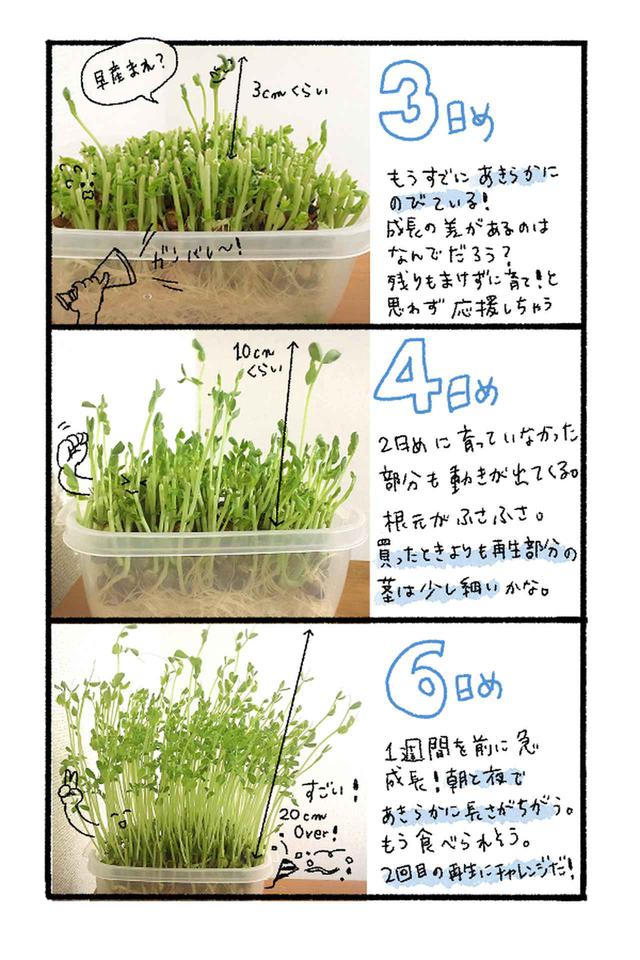 画像5: 筆者撮影