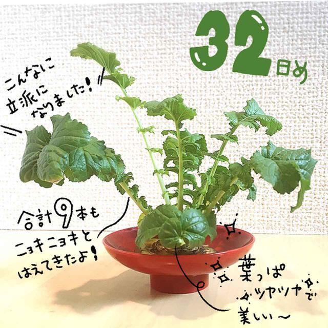 画像4: 筆者撮影