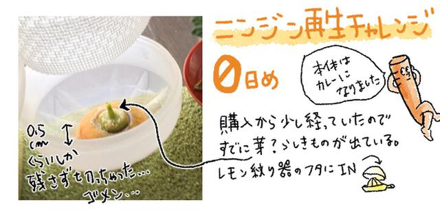 画像3: 作:たなみお