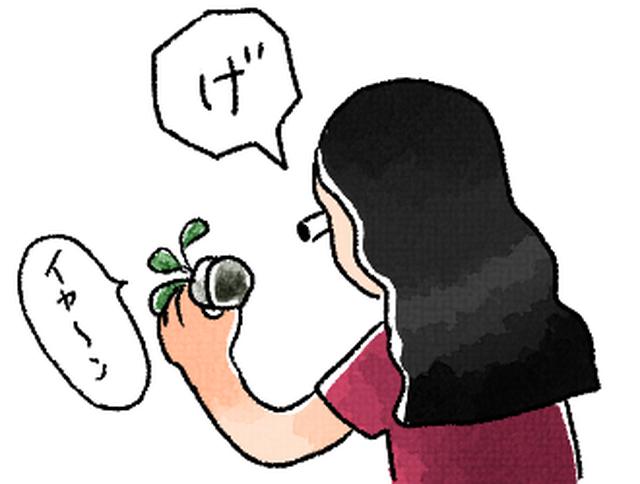 画像: 作:たなみお 初めてしっかり裏面見たときはちょっとショック