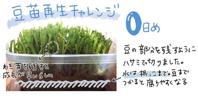 画像5: 作:たなみお