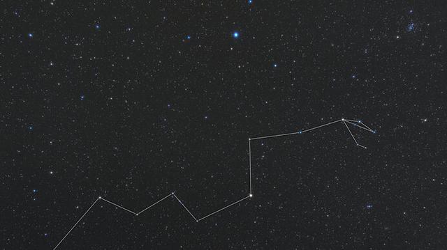 画像1: ※写真はイメージです