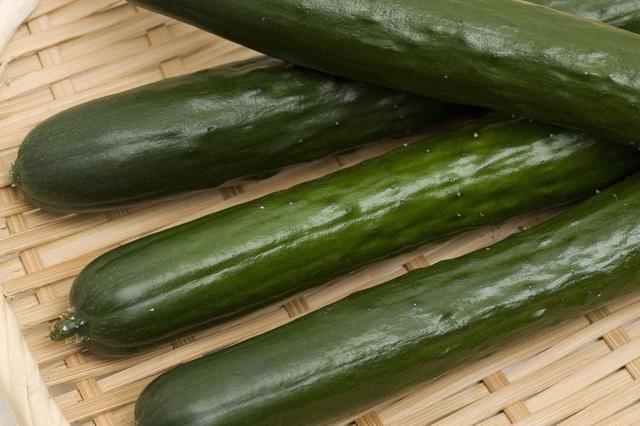 画像: 実は栄養価が高い!夏野菜のきゅうり 夏バテ防止としてキャンプに冷やしきゅうりを持参するのも◎