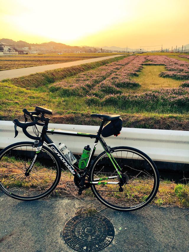 画像: 【持ち物リスト】ポイントは必要最低限にすること! なるべく軽量化して軽快なロングライドを楽しもう