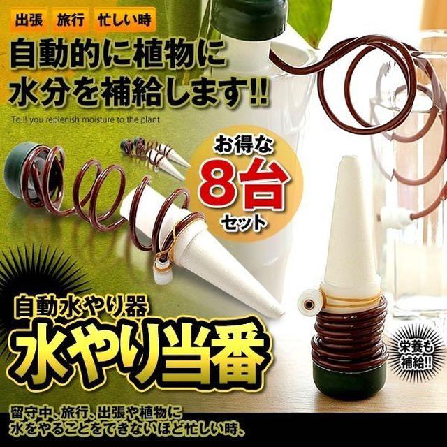 画像2: 【プランター菜園】プランターで手軽に野菜を栽培しよう! 色とりどりのベランダ菜園