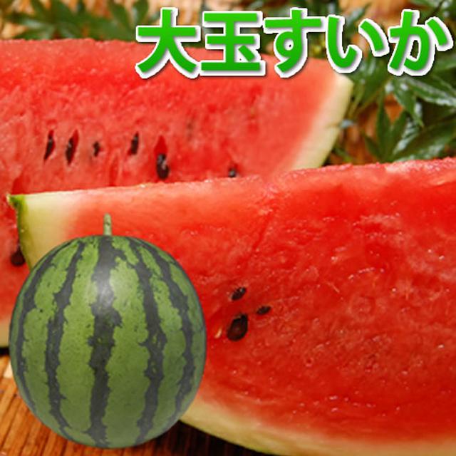 画像2: 【スイカ丸ごと活用レシピ】皮も捨てないで!夏の王様すいかをまるごと味わうレシピをご紹介