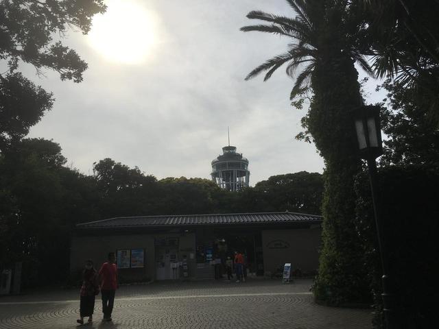 画像: 筆者撮影 大人1人500円で展望台に上れます