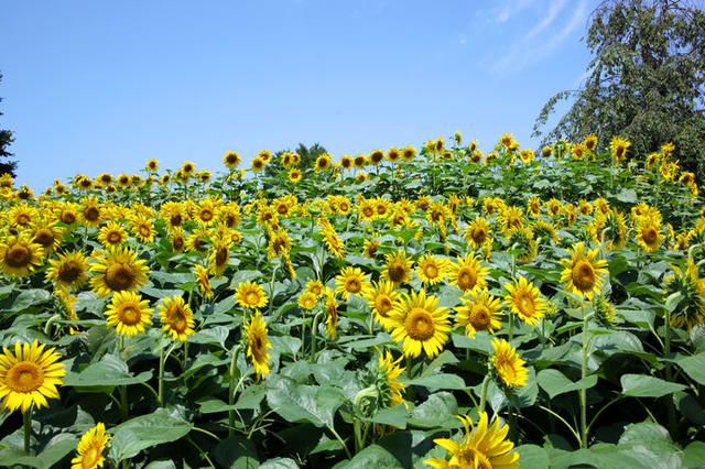 画像4: ※写真はイメージです