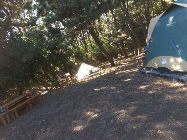 画像: 筆者撮影 柳島キャンプ場は木に囲まれていて、日影が多い!