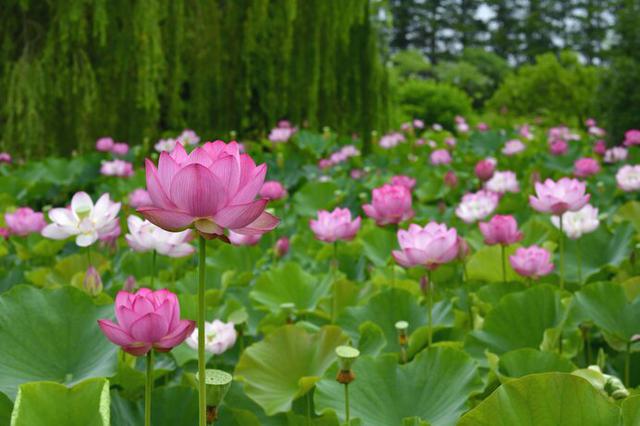 画像2: ※写真はイメージです