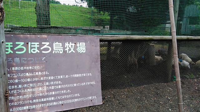画像8: 筆者撮影