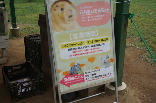 画像7: 筆者撮影