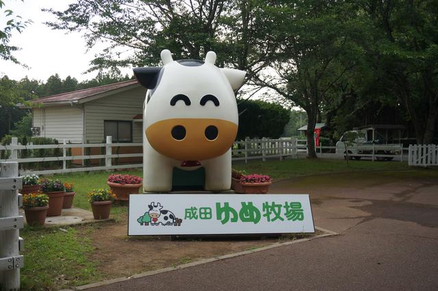 画像1: 筆者撮影