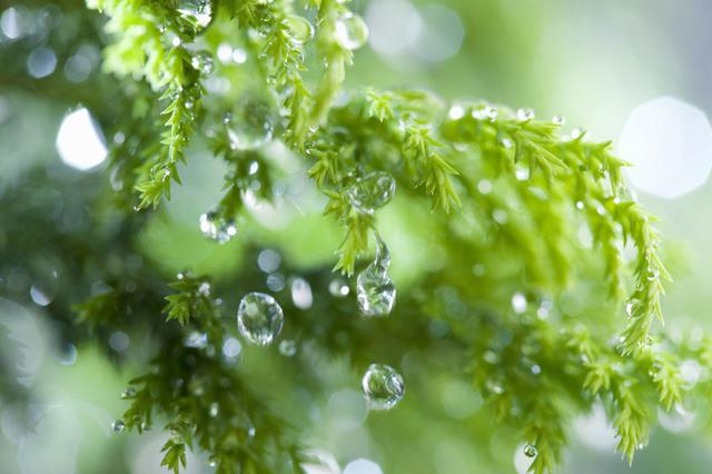 画像: 雨だからこその楽しみ方とは? 雨予報の持ち物・服装を揃えていつもと違うキャンプを楽しんじゃおう!