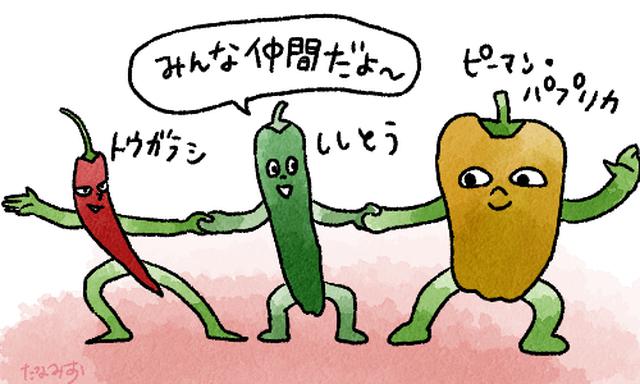 画像1: 夏野菜のししとうは疲労回復・美肌効果など栄養たっぷり食材! 美味しく食べられるレシピをご紹介!