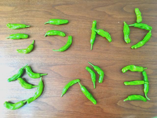 画像6: 筆者撮影