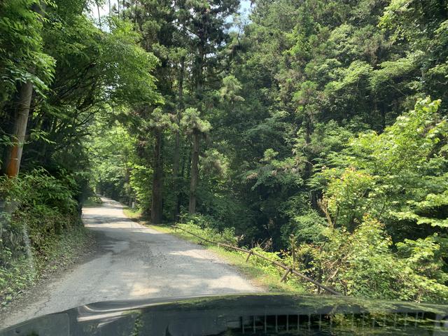画像5: 編集部撮影