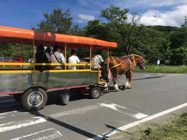 画像5: 筆者撮影
