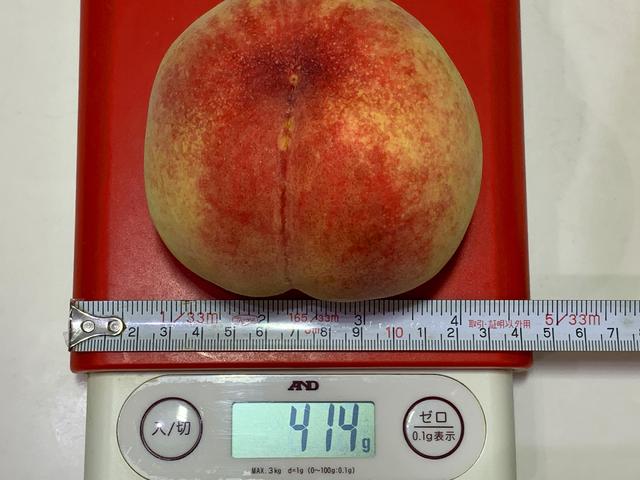 画像3: (筆者撮影)