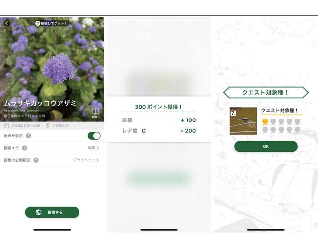 画像: (左)手順5→手順6 (中・右)手順7 ※画像はスクリーンショット (筆者作成)