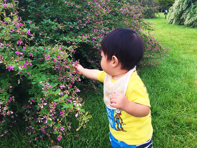画像: 筆者撮影 萩の花をめでる0歳児 @茨城県,偕楽園
