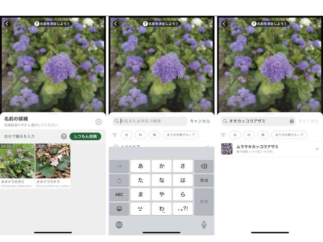 画像: 手順4.(左)該当種類を選択 (中・右)候補にない場合自分で入力して検索可能 ※画像はスクリーンショット (筆者作成)