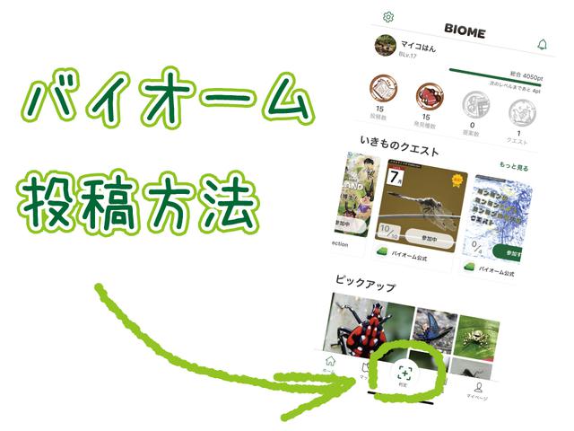 画像: 筆者作成