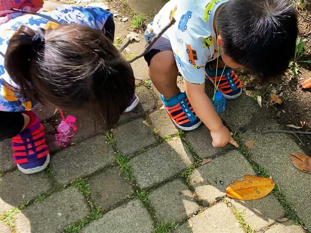 画像: 筆者撮影 「おおきなダンゴムシ!」とオオヒラタシデムシの幼虫を追いかける子供たち