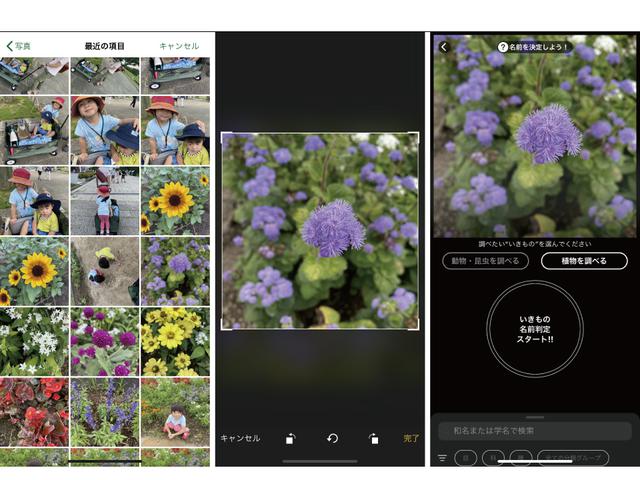 画像: 左から手順1→手順2→手順3 ※画像はスクリーンショット (筆者作成)