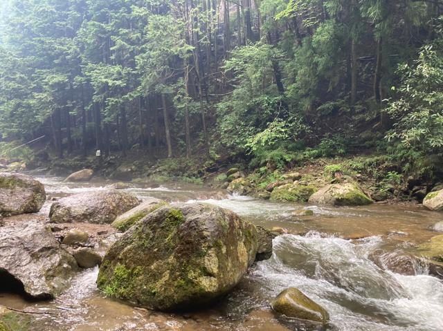 画像: 谷太郎川の大自然 (筆者撮影)